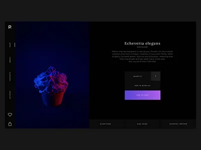 PATIENS. Plant store Product Page Concept black design ecommerce design interace neon photo plant productpage succulent typography ui ui ux ux design web website