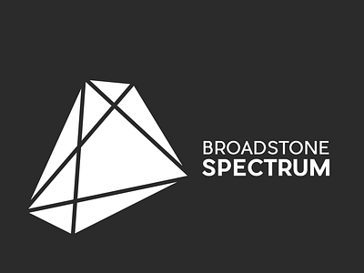 Broadstone Spectrum Logo branding design icon logo vector