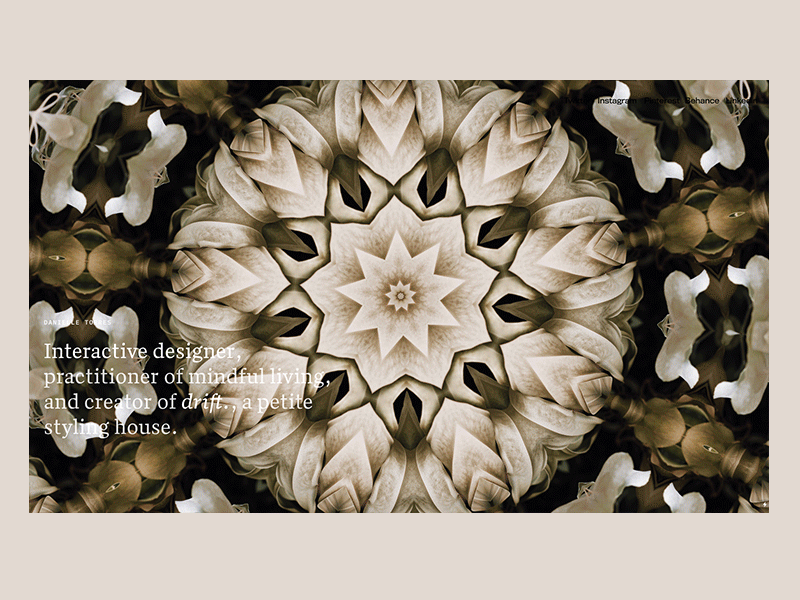 Kaleidoscope Splash Page cargo desktop digital floral gif interaction interaction design interactive kaleidoscope splashpage tampa