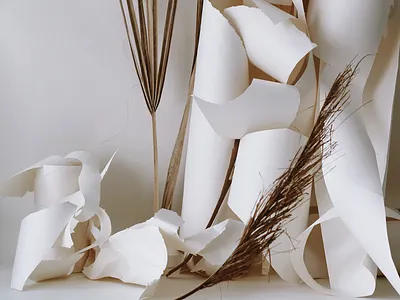 Paper Styling cream driedfloral palms paper photography propstyling styling