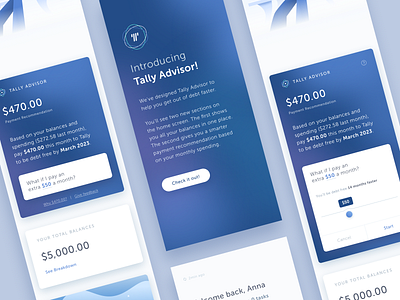 Introducing Tally Advisor advisor app design fintech ios mobile tally ui ux