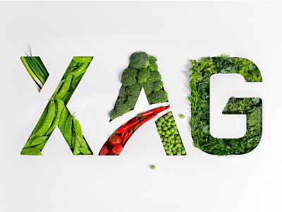 XAG logo