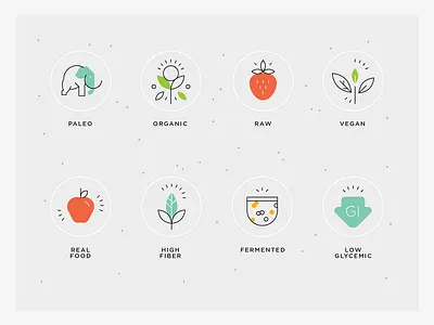 Healthy food values - principles fermented icon food icon values healthy food icons high fiber icon low glycemic icon organic food icons organic icon paleo icon raw icon real food icons sustainable icons vegan icon