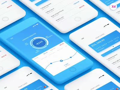 Payment App payment view application