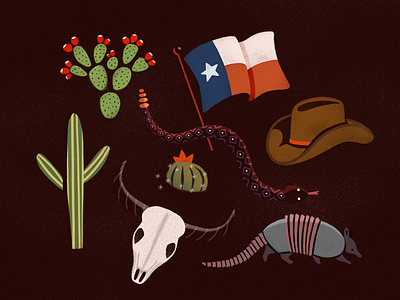 Desert Illustrations armadillo cactus cowboy desert lone star longhorn prickly pear rattlesnake skull snake southwest texas