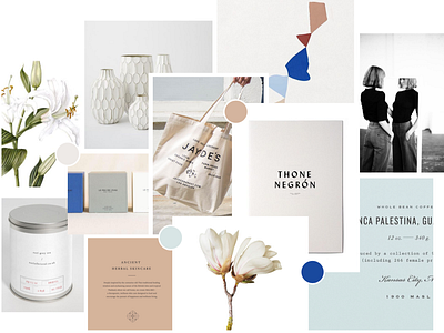 Lily House Co. Mood Board apothocary botanicals brand design branding collage herbalism holistic inspiration logo design minimalism moodboard natural tea