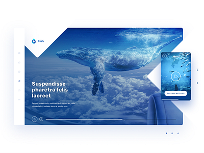 Droply Player design hero nature netflix player ui ux design video water webdeisgn