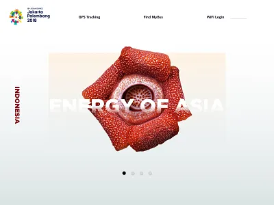 Asian Games app appscreen design flat type typography ui ux web website