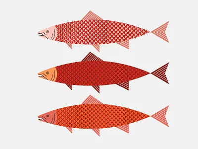 Salmon fish flat illustration line outline salmon shapes texture vector