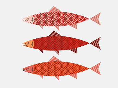 Salmon fish flat illustration line outline salmon shapes texture vector