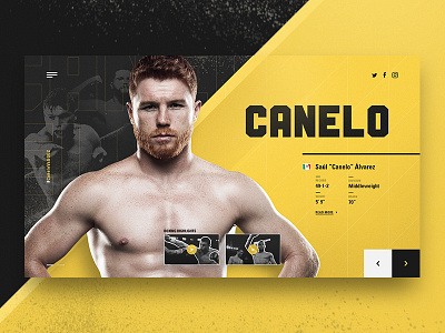 Canelo Vs GGG | Canelo Profile canelo championship concept concept design fighters ggg golovkin profile sports stats ui versus website