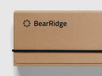 BearRidge Homes brand design icon identity logo