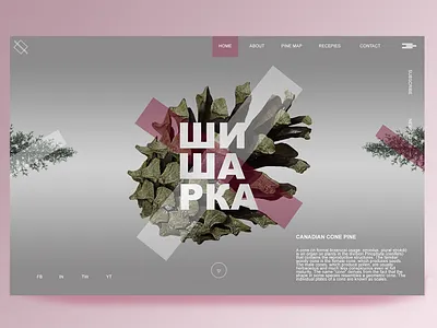 Pine digital syrup abstract beautifull branding design graphicdesign illustration landing page design landingpage photoshop portfolio typography ui uidesign uiux userinterface ux web webdesign website