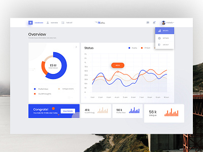 Nefto Dashboard Exploration admin admin panel dashboar graph interface layout minimal statistics status task uidesign user management visual