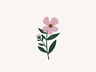 purple flower flower illustration