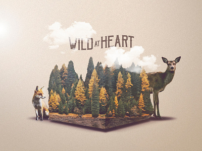 Wild At Heart 3d animals art church clouds design logo nature sermon sermon series sunday texture trees type wild