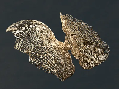 Amor & Liberdade amor diffusion freedom gold houdini liberdade love lovers reaction redshift