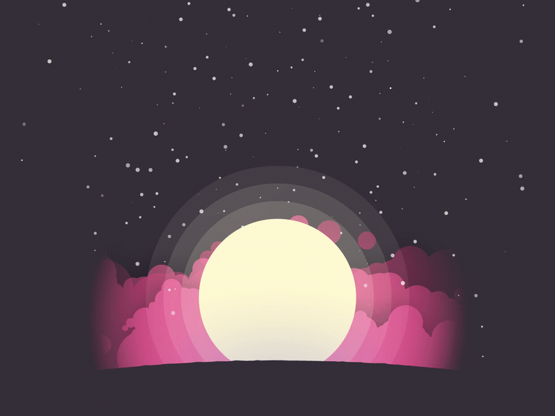 Hello Dribbble! after animation debute design dribbble firstshot flat hello hello dribble illustration logo motiondesign rocket space