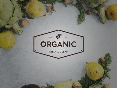 Rostamthedesigner Organic Logo app branding clean design flat fresh graphicdesign icon illustration logo logodesign organic