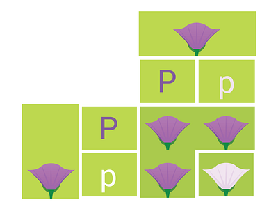 Mendelian Inheritance