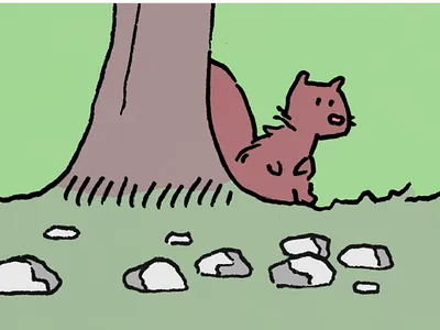 Squirrel animal cartoon cartoon character character illustration kids squirrel