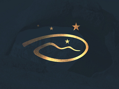 Dimensions Of Change Logo mark. design icon letter d logo logomark mountain