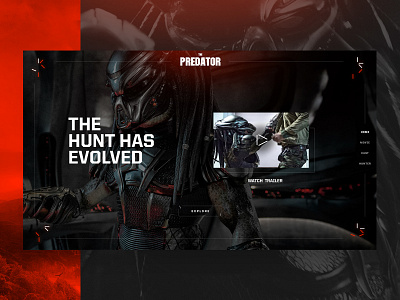 PREDATOR Website Concept predator predator web predator website predators web web design web interfaces webdesign website