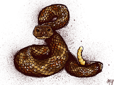 Rattle Snake art color design illustration