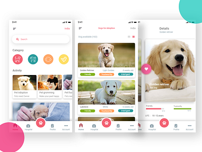 Pet Adoption concept pet care pet design pet food