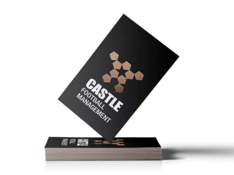 Example of Professional Logo System Design