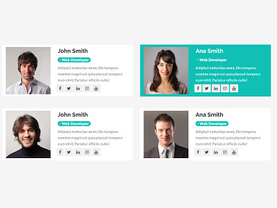 Team Design bootstrap 3 css3 html5