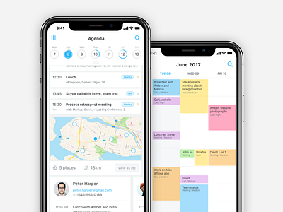 BSM iPhone App app calendar contacts ios iphone list map project management tasklist tasks todo ui ux