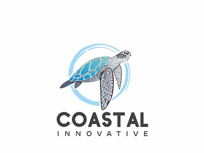 Coastal Innovative logo turtle
