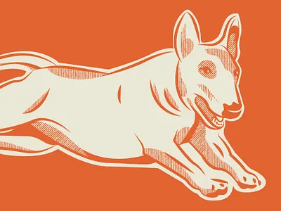 weeee bull terrier dog doggo fun