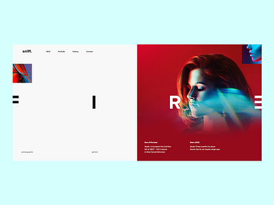 Sniff. concept design digital photographer ui web desgin website