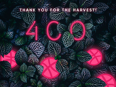 400 Followers of ServoCode 400 dribbble followers green illustraiton leaves pink servocode