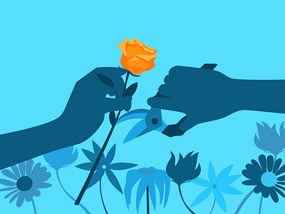 Bank Review Illustration Series | XIV article banking credit design editorial finance flat design flowers gobankingrates illustration losangeles money review roses