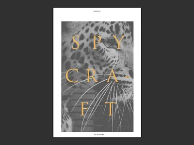 Layout-1 design graphic inspiration layout typography