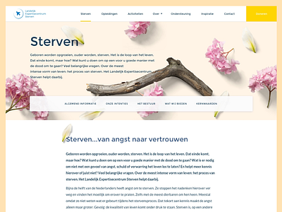 Content page for a Non profit clean content design donate flowers list minimal navigation non profit page ui ux website