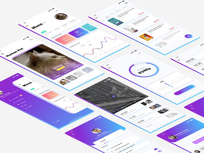 HUMAN PET app design illustration pet ui