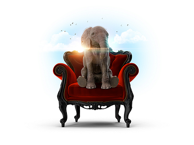 Elephant compositing design photoshop