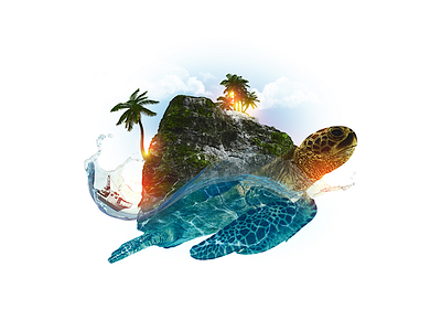 Turtle compositing photoshop