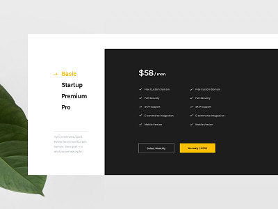 Pricing budget grid landing pricing pricing plan ui ux whitespace yellow