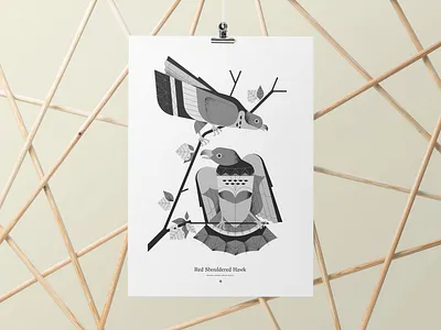 Posters to Save Nature Part 2 artprint bird bird illustration charley harper eco hawk mid century poster