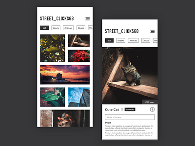 Photography app adobexd landingpage ui uidesign minimal