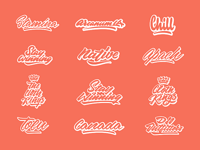 Lettering Collection branding calligraphy clothing design free hand lettering illustration lettering logo logotype script set sketch streetwear type typo typography vector
