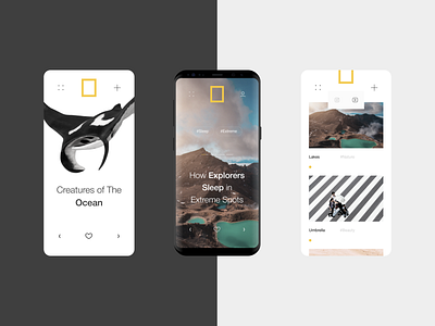 NatGeo Concept #3 animal animation clean design fullscreen fullwidth inspiration interface minimal motion natgeo site typography ui ux web