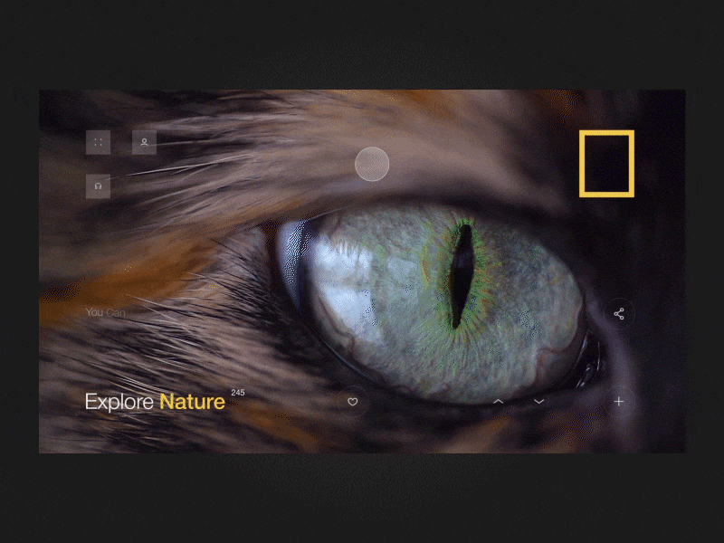 NatGeo Concept #2 animal animation clean design fullscreen fullwidth inspiration interface minimal motion natgeo site typography ui ux web