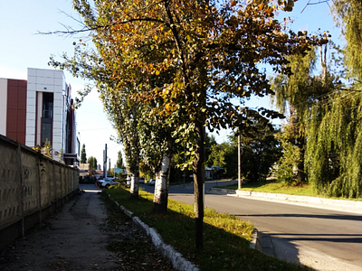 Autumn autumn street