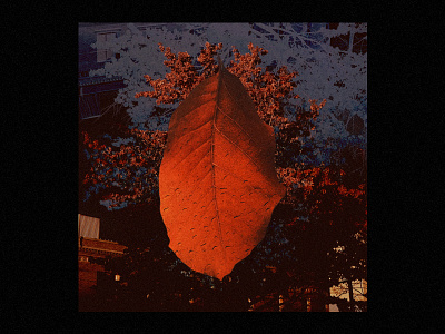 my girl, autumn album art autumn collage cover design playlist